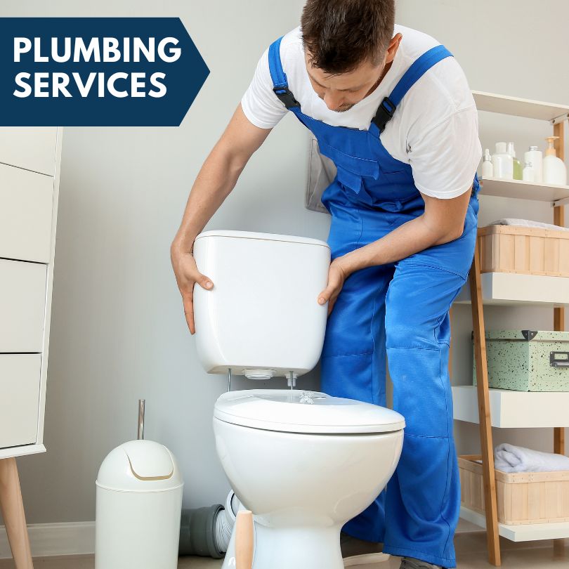 Plumbing Company in Sharpes, FL